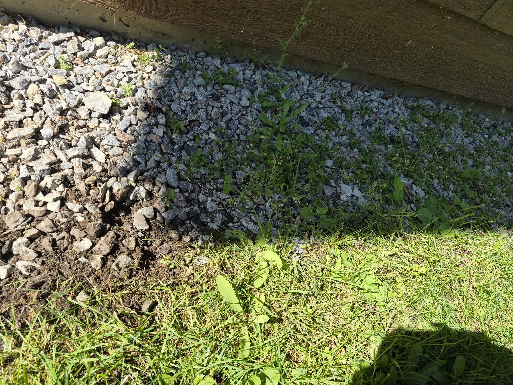 Garden area with gravel bed and grass boundary